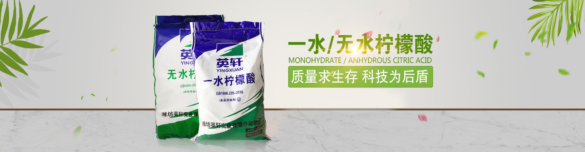 金年会金字招牌信誉至上